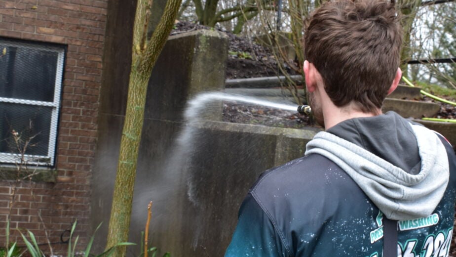 Residential exterior cleaning services -soft washing service