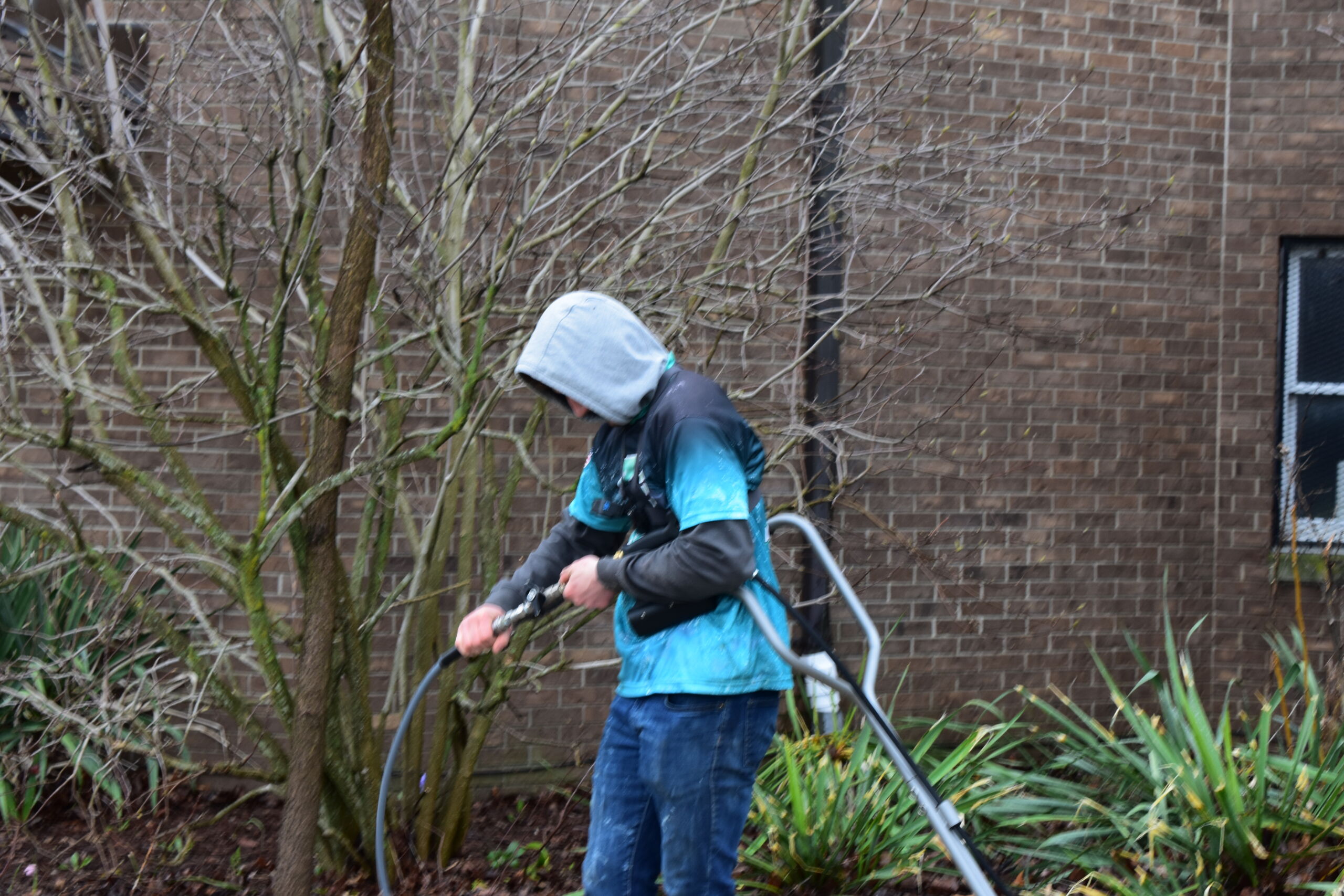 Prime & Shine technician adjusting pressure washer connections in a garden bed beside a brick building