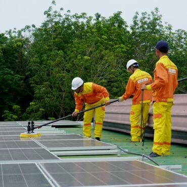 Solar Panel Cleaning Services