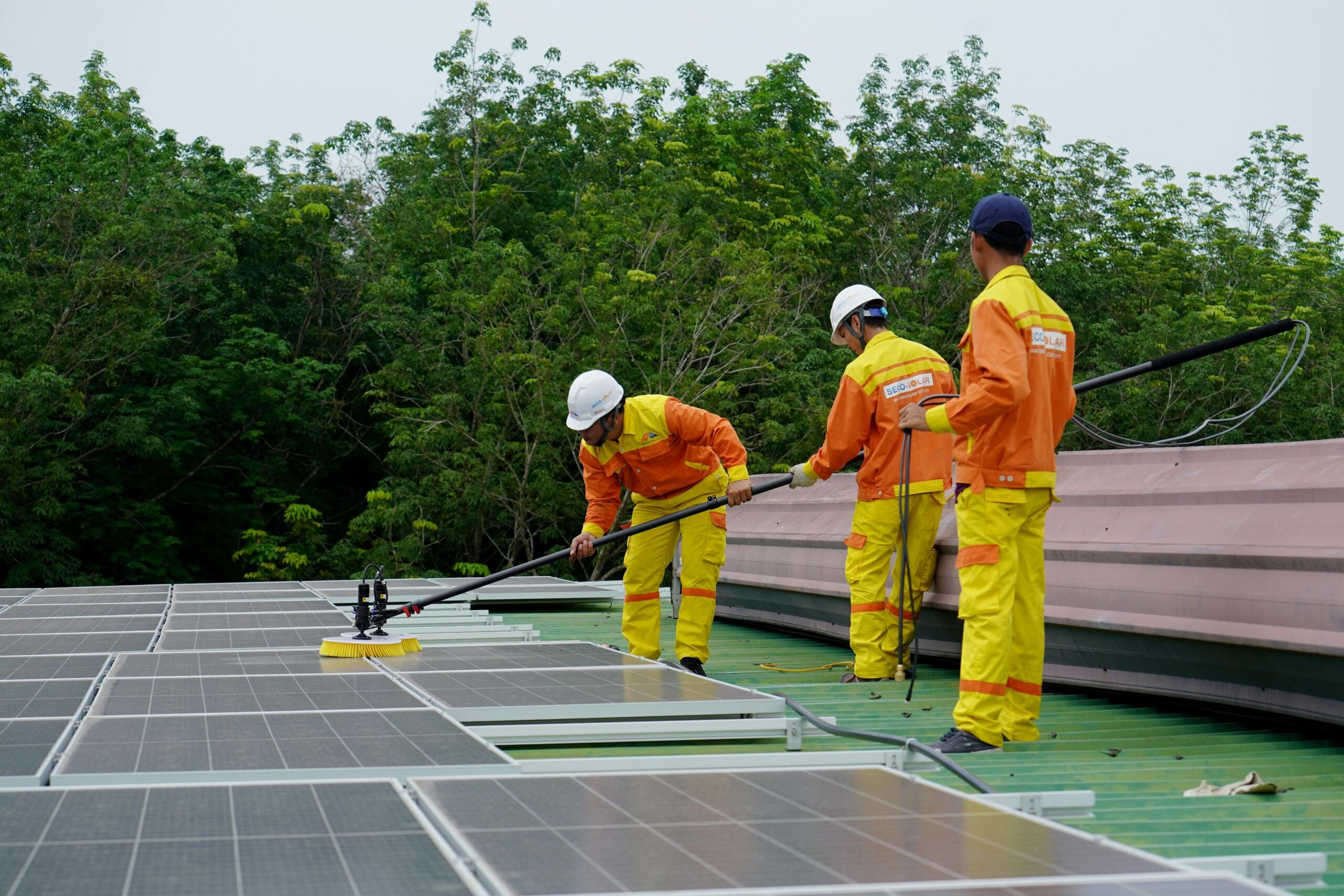 Solar Panel Cleaning Services