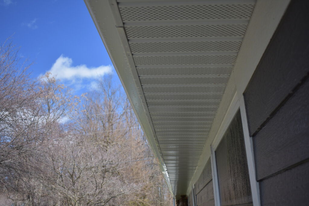 Soft washing after by Prime and Shine